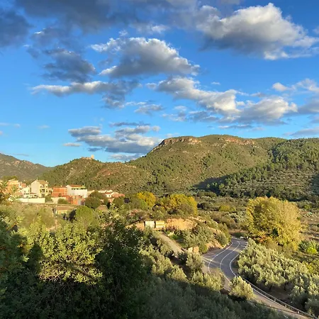 Remote Work In Spanish Mediterranean Countryside Apartment